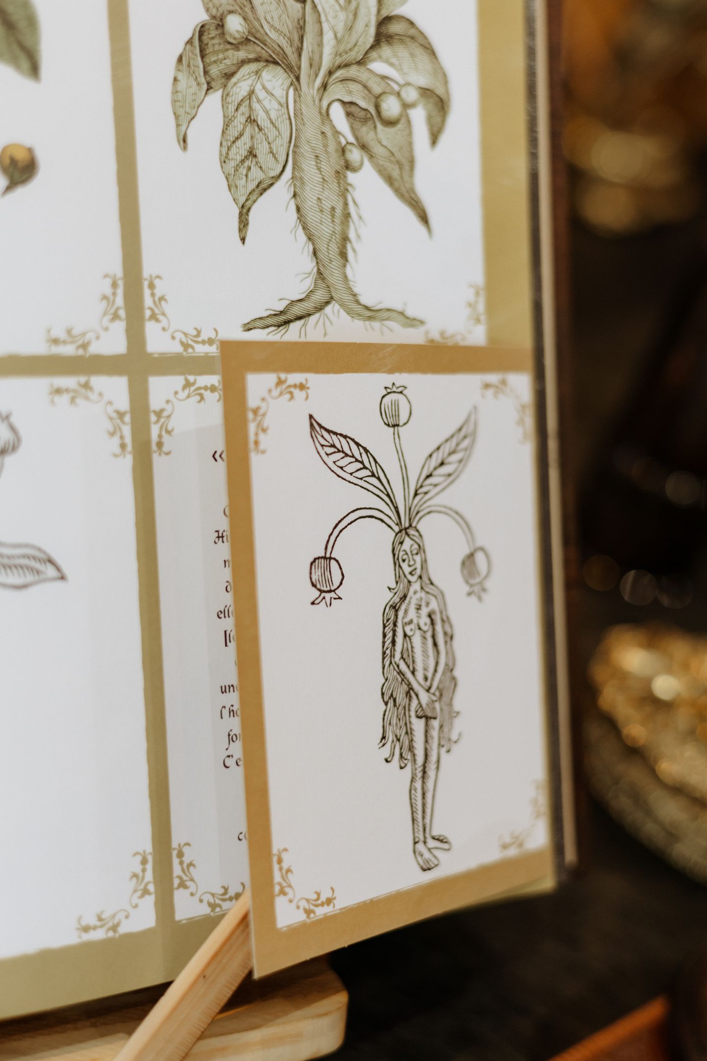 Grimoire des Plantes de Sorcière
