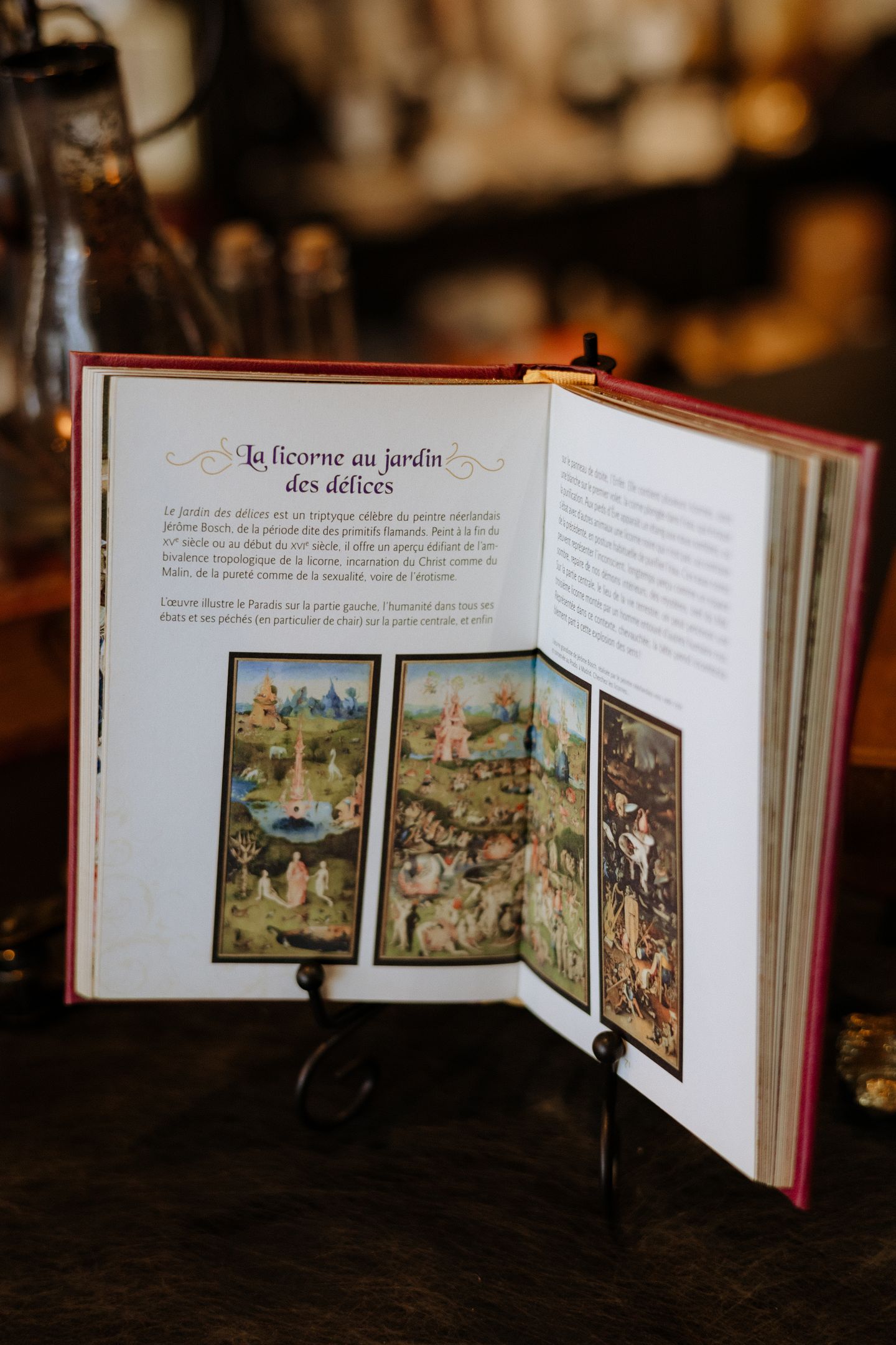 Merveilleuse Licorne