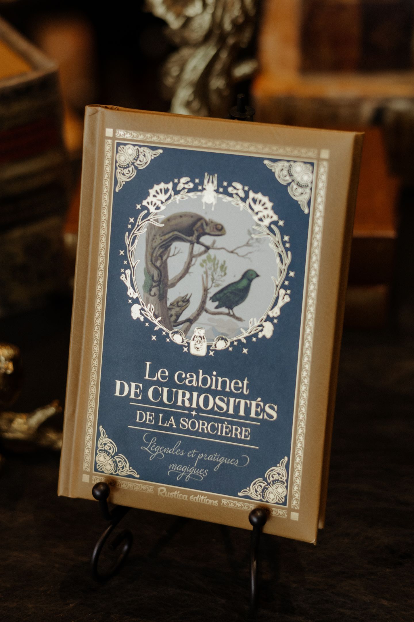 Petit Précieux Cabinet de Curiosités de la Sorcière