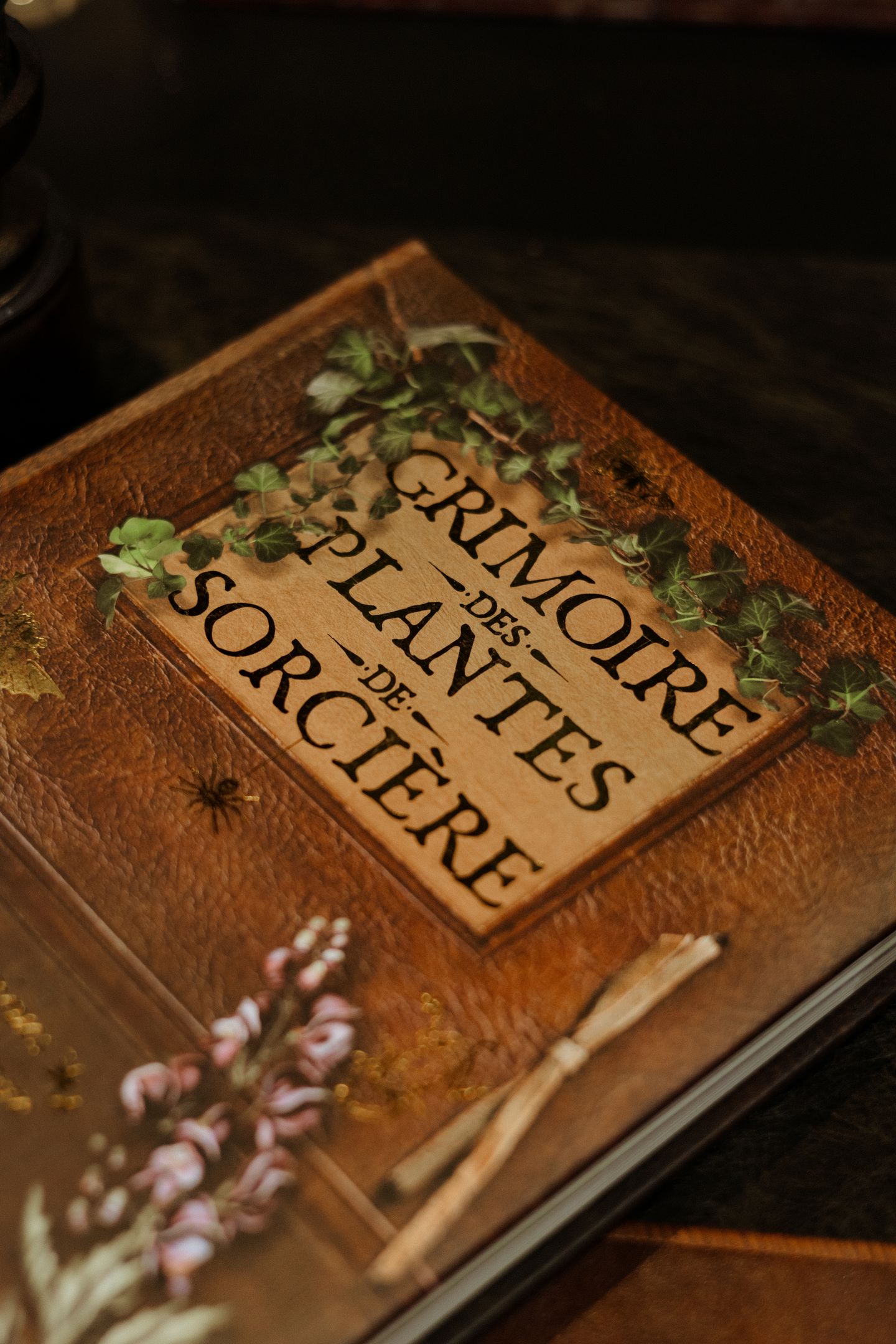 Grimoire des Plantes de Sorcière
