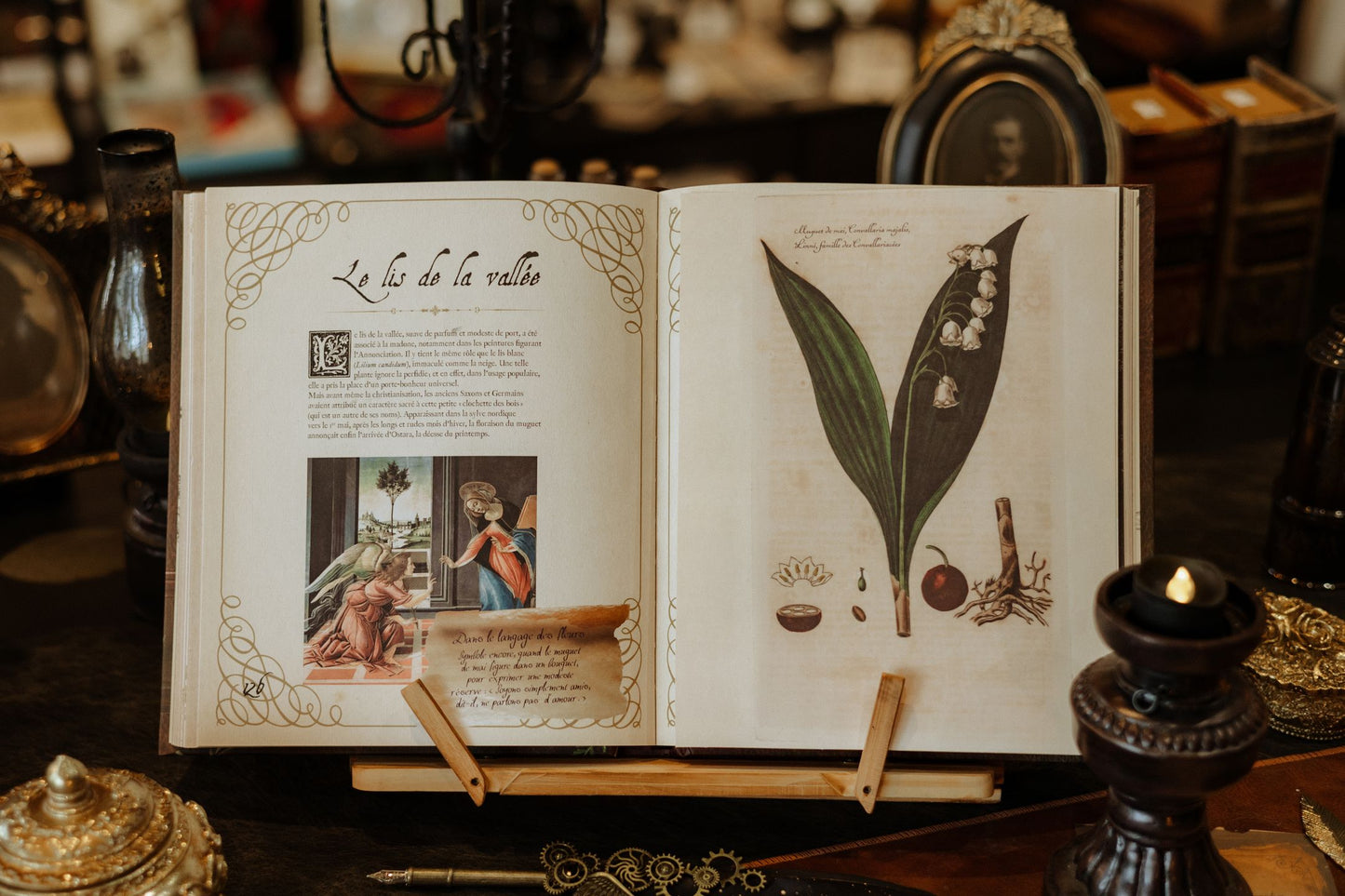 Grimoire des Plantes de Sorcière