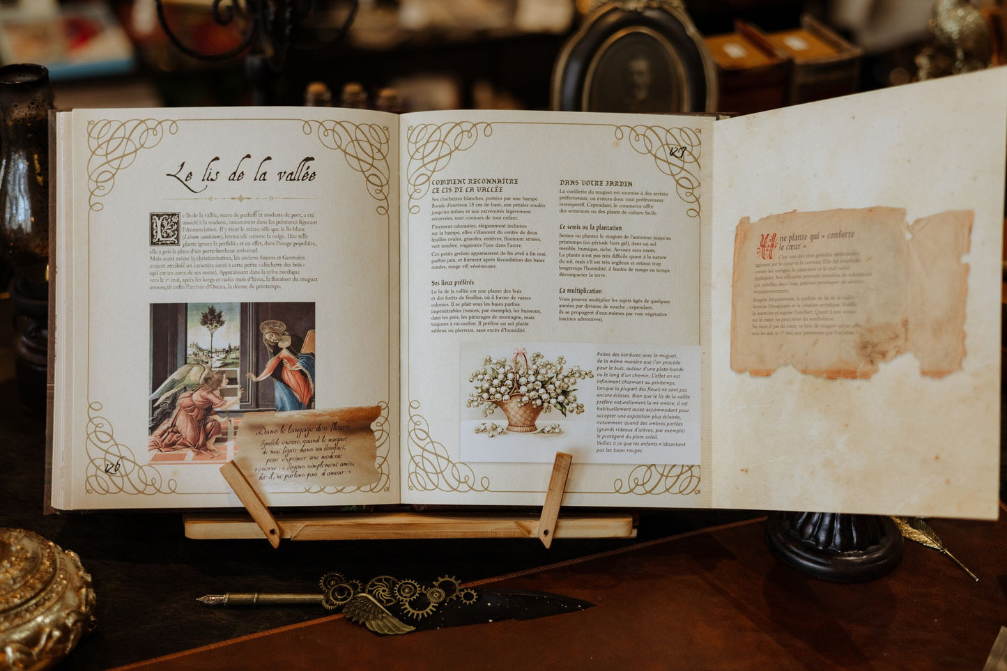 Grimoire des Plantes de Sorcière