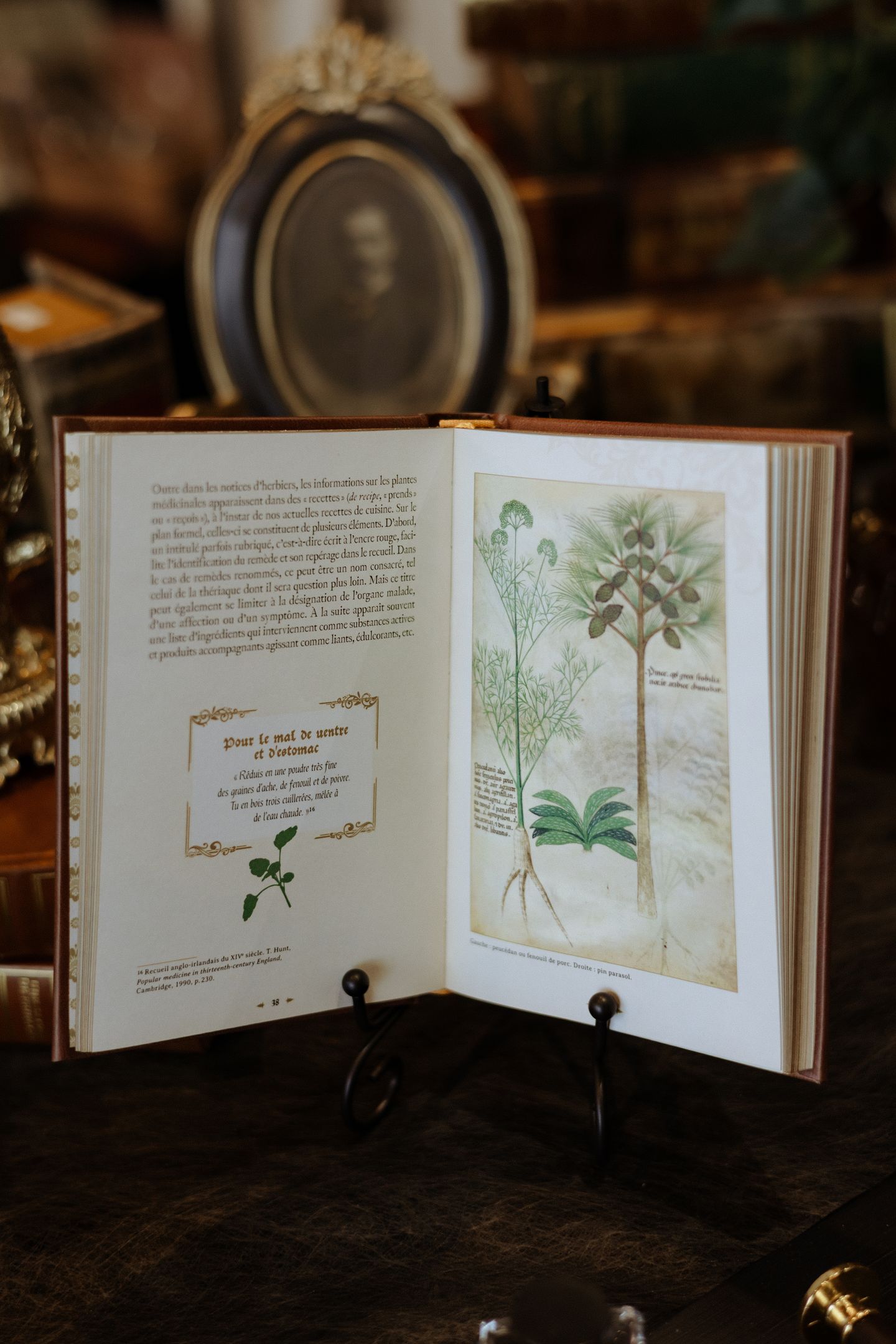 L'herbier Fabuleux