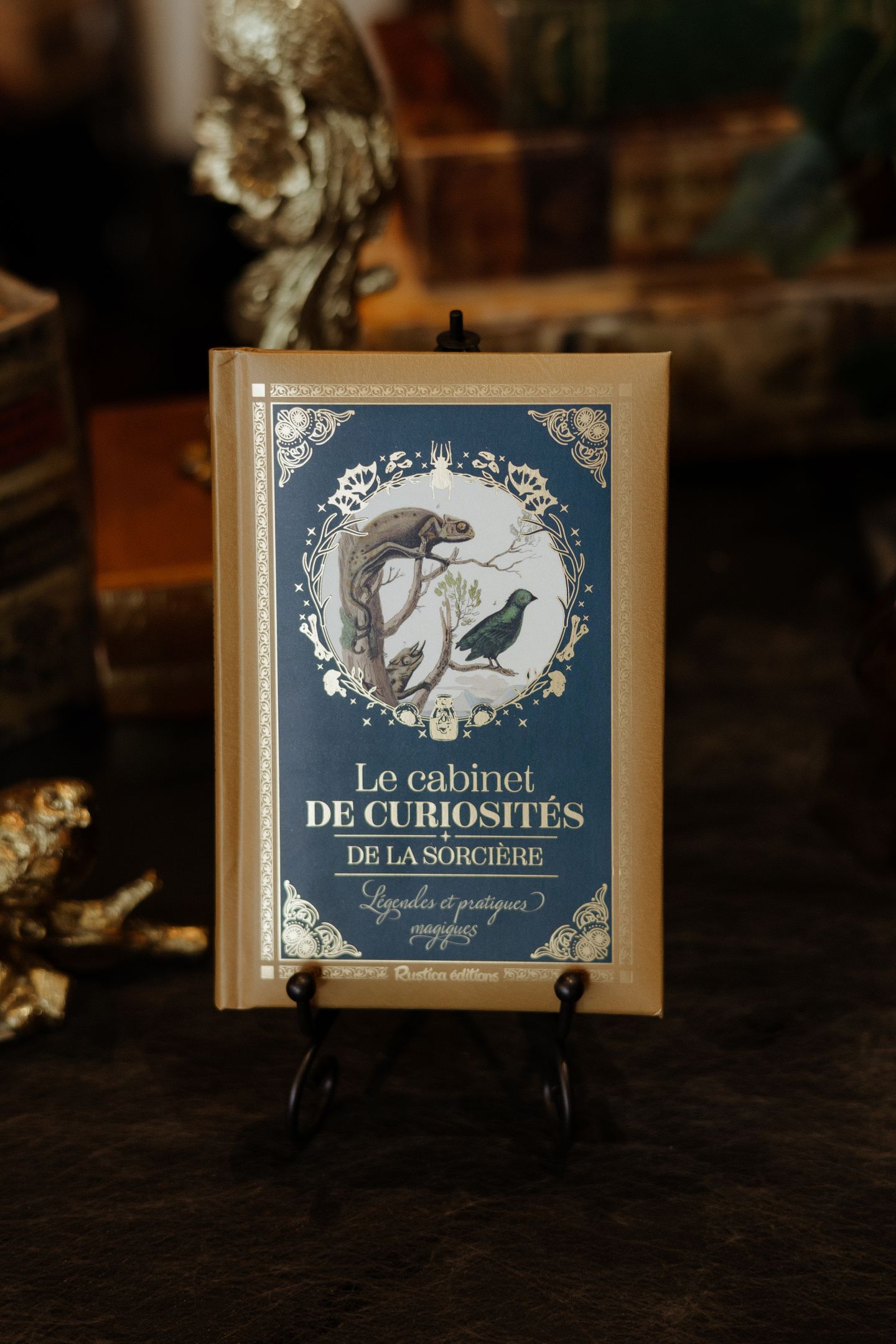 Petit Précieux Cabinet de Curiosités de la Sorcière